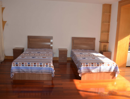 1623810352029058174.png image.png