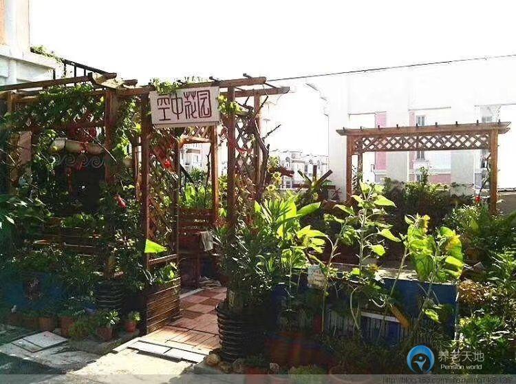 1625209350238037348.jpg 1625209350238037348.jpg