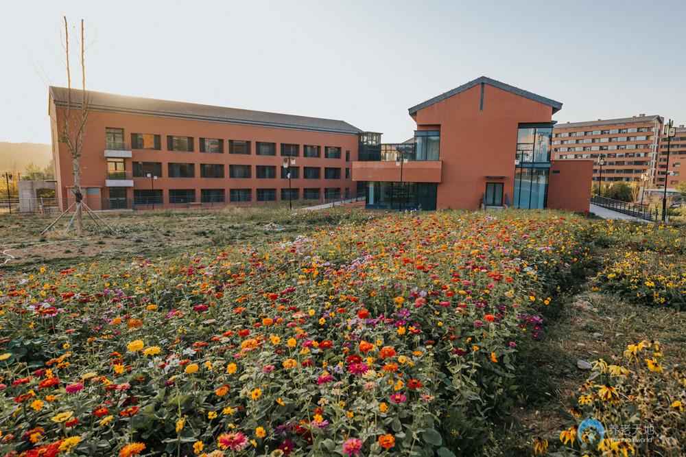 1625211557779027229.jpg 1625211557779027229.jpg