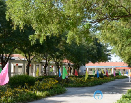 1625964234962059826.png 2.png