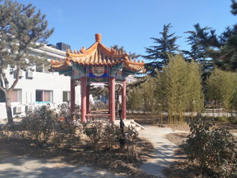 1627375820227051556.png 3.png