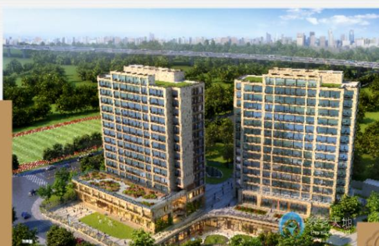 1627638793756084839.png 1.png