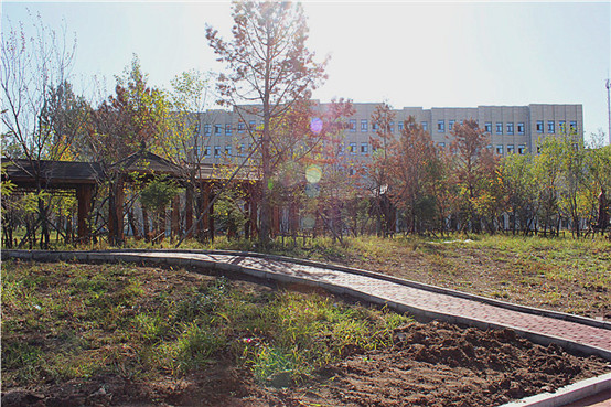 1628218884447029039.jpg 1628218884447029039.jpg