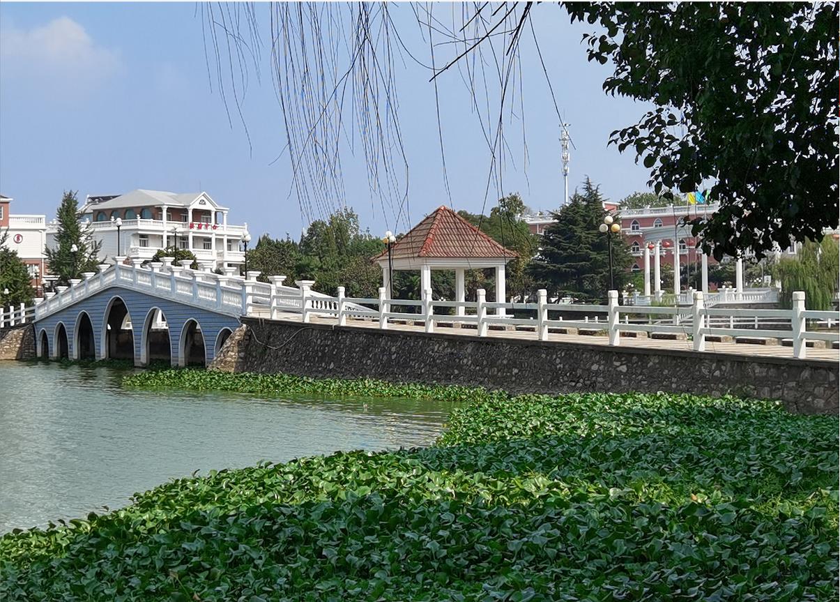 1629252324416099845.jpg 1629252324416099845.jpg