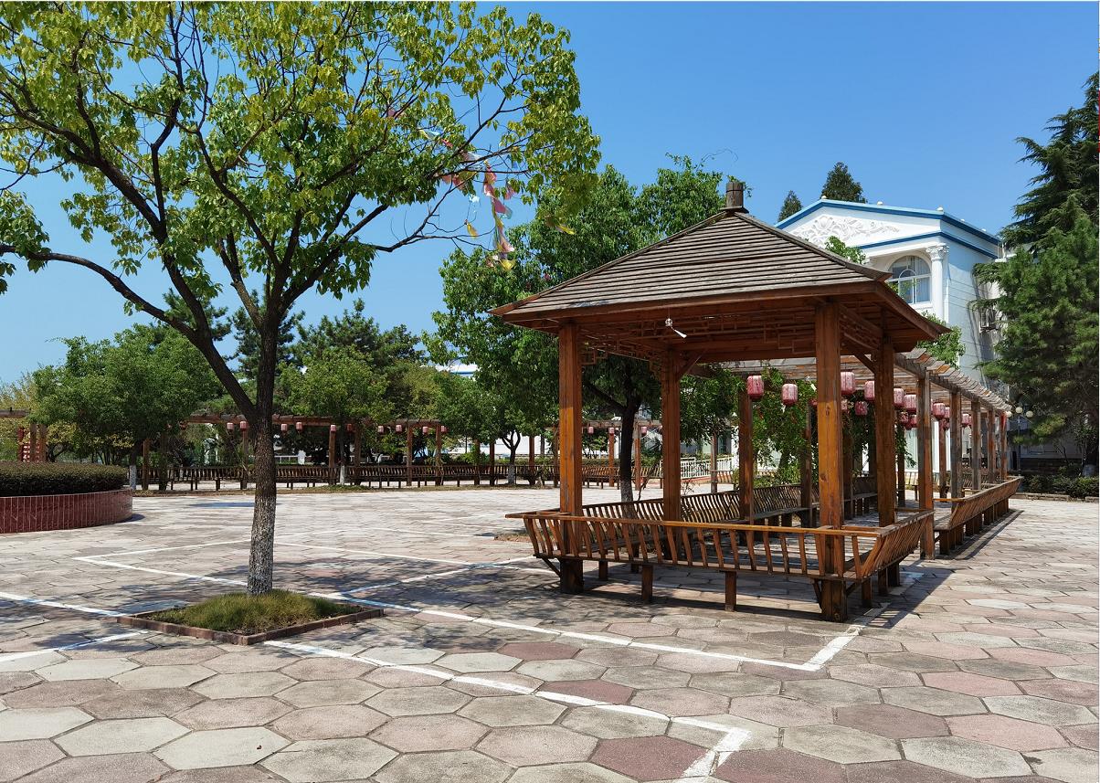 1629252351657050225.jpg 1629252351657050225.jpg