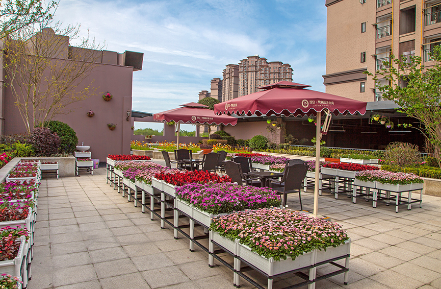 1631067547813055343.jpg 1631067547813055343.jpg