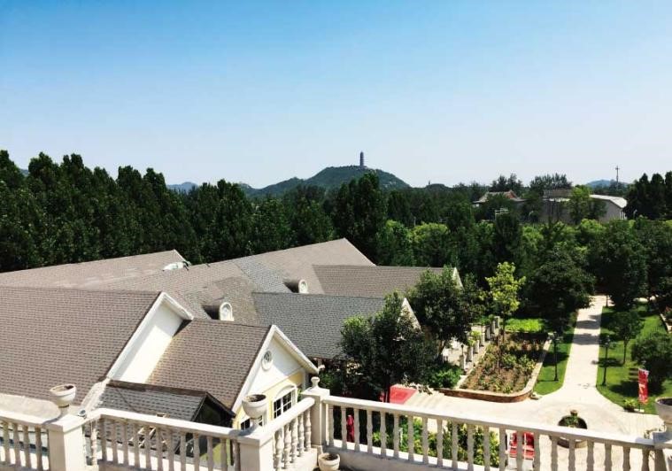 1631260241818011283.jpg 1631260241818011283.jpg