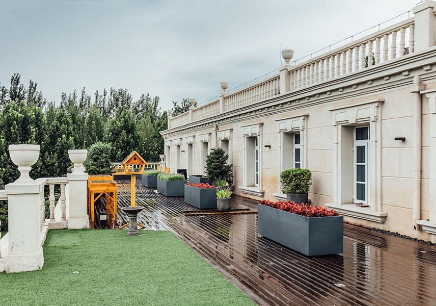 1631260254304036888.jpg 1631260254304036888.jpg