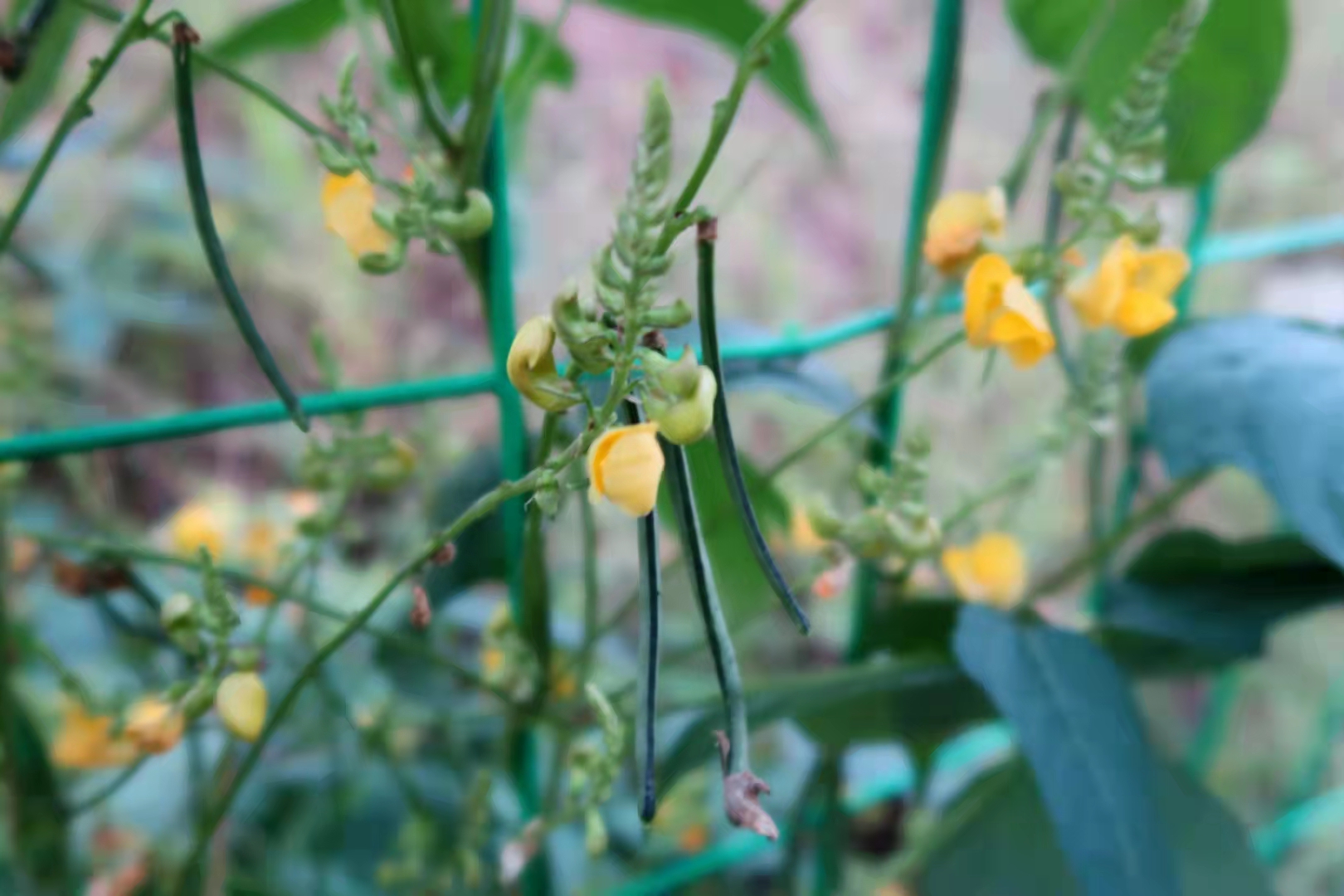 1631587514801019760.jpg 1631587514801019760.jpg