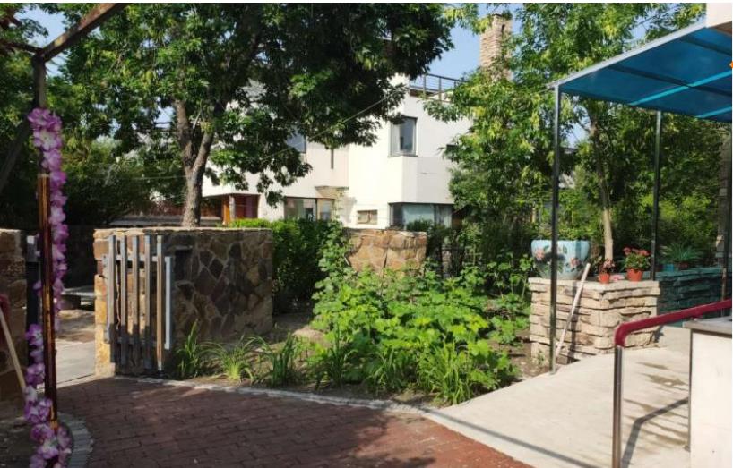 1631670523023018077.jpg 1631670523023018077.jpg