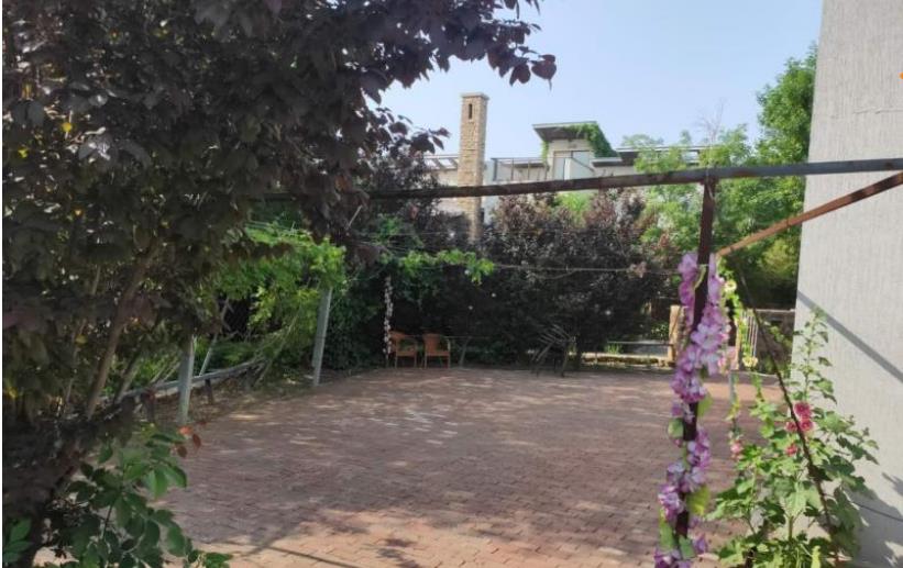 1631670591051004382.jpg 1631670591051004382.jpg