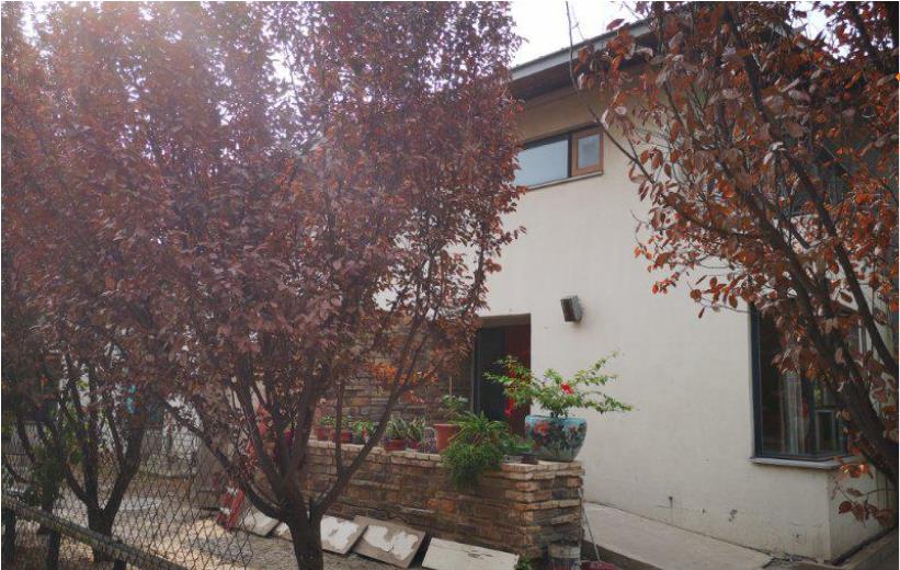 1631670603270035109.jpg 1631670603270035109.jpg