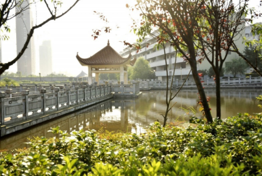 1636161233479080332.png 1.png