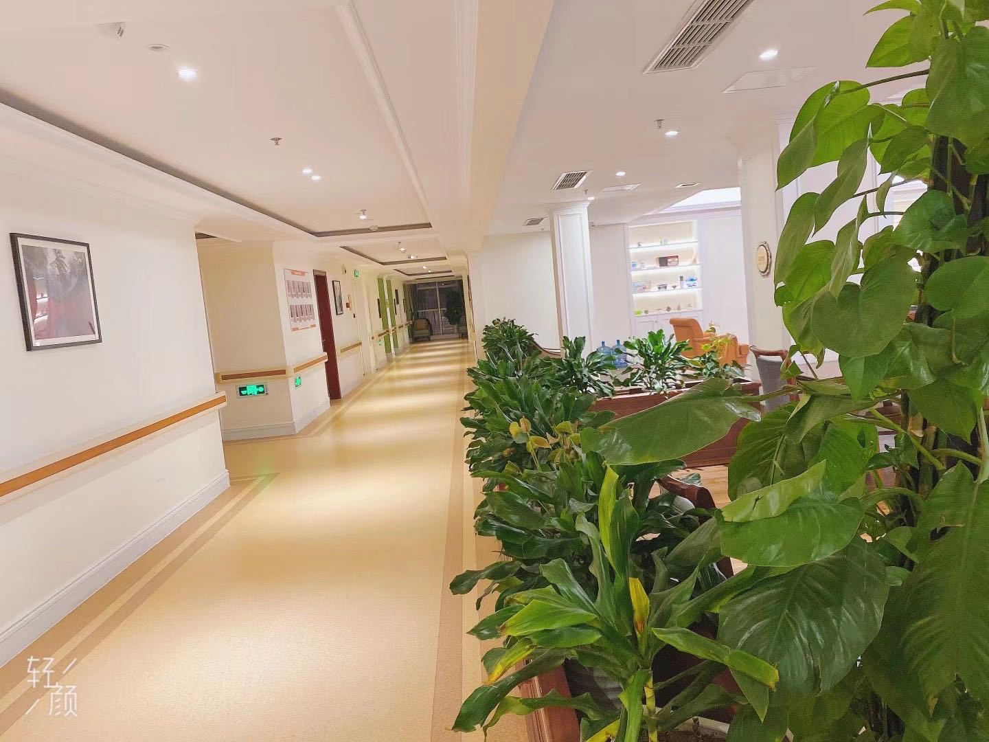 1636363598583083565.jpg 1636363598583083565.jpg