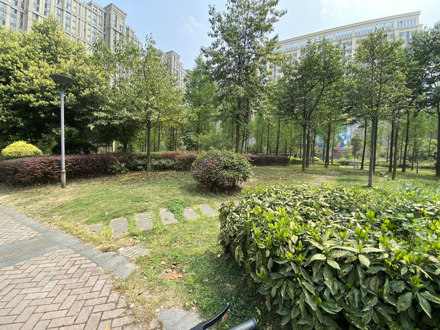 1636363749284041452.jpg 1636363749284041452.jpg