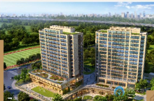 1636702241268023395.png 1.png