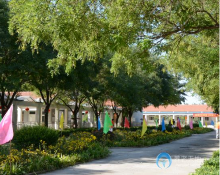 1638951483861049234.png 2.png