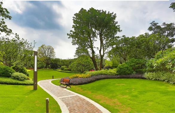 1642126725067052879.jpg 1642126725067052879.jpg