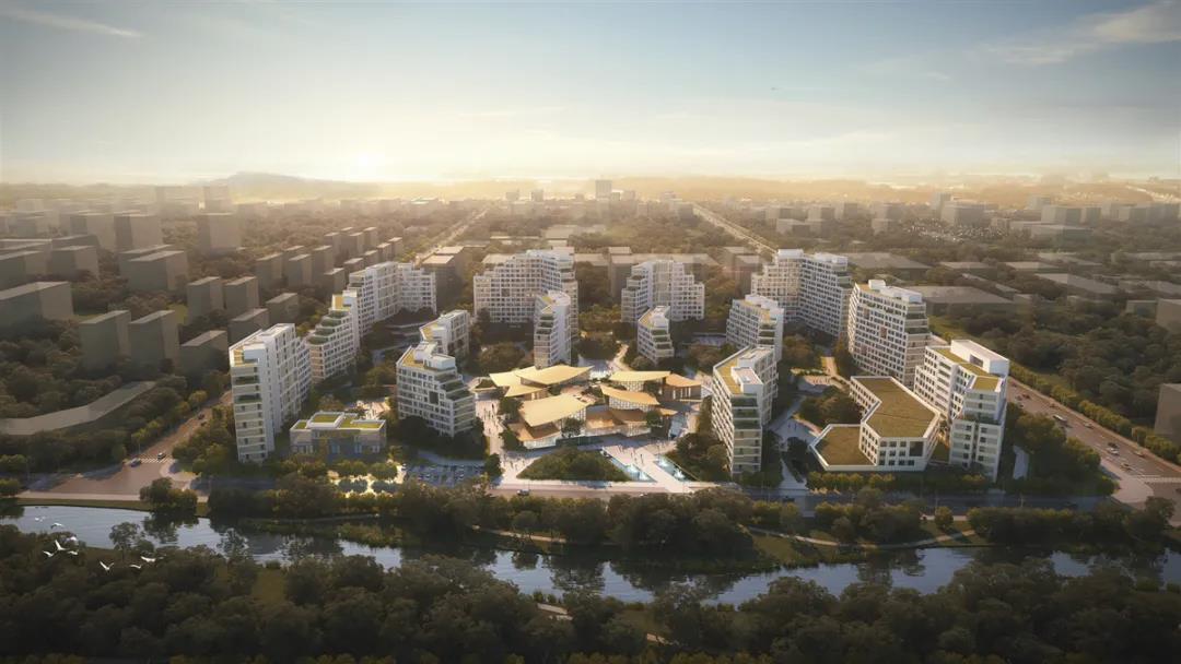 1642988399172026797.jpg 1642988399172026797.jpg