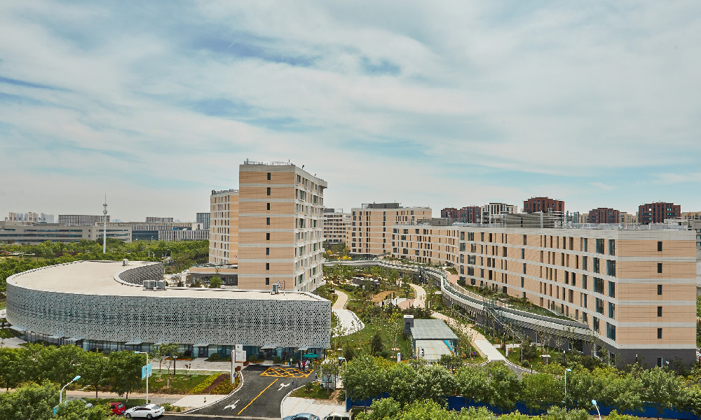 1665540198831030191.jpg 1665540198831030191.jpg