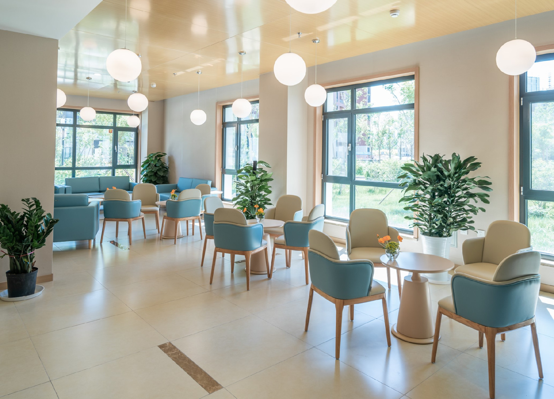 1665540216443030254.jpg 1665540216443030254.jpg