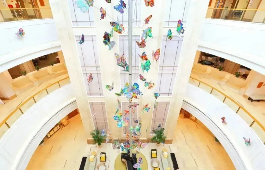 1684459057384026215.jpg 1684459057384026215.jpg