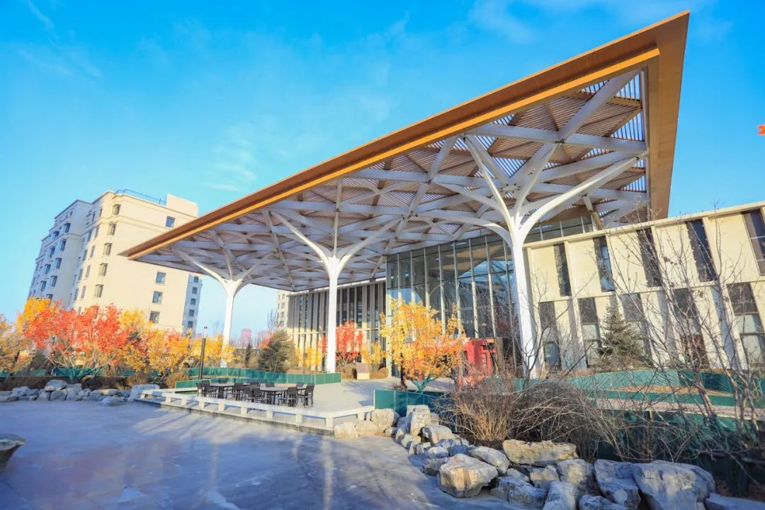 1685512884326033685.jpg 1685512884326033685.jpg