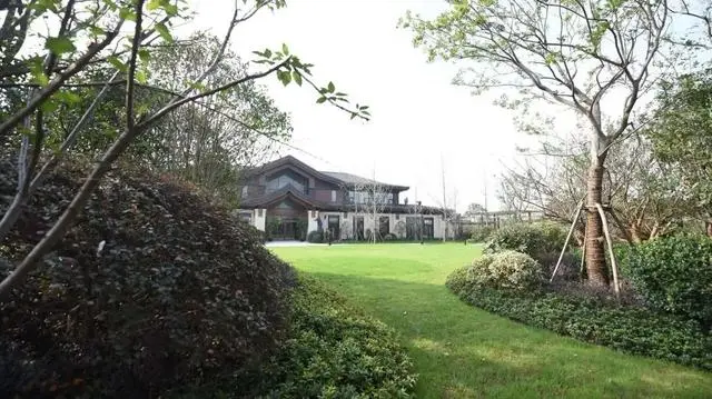 1686101518303033601.jpg 1686101518303033601.jpg