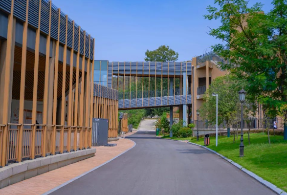 1687766657943032473.png 2.png