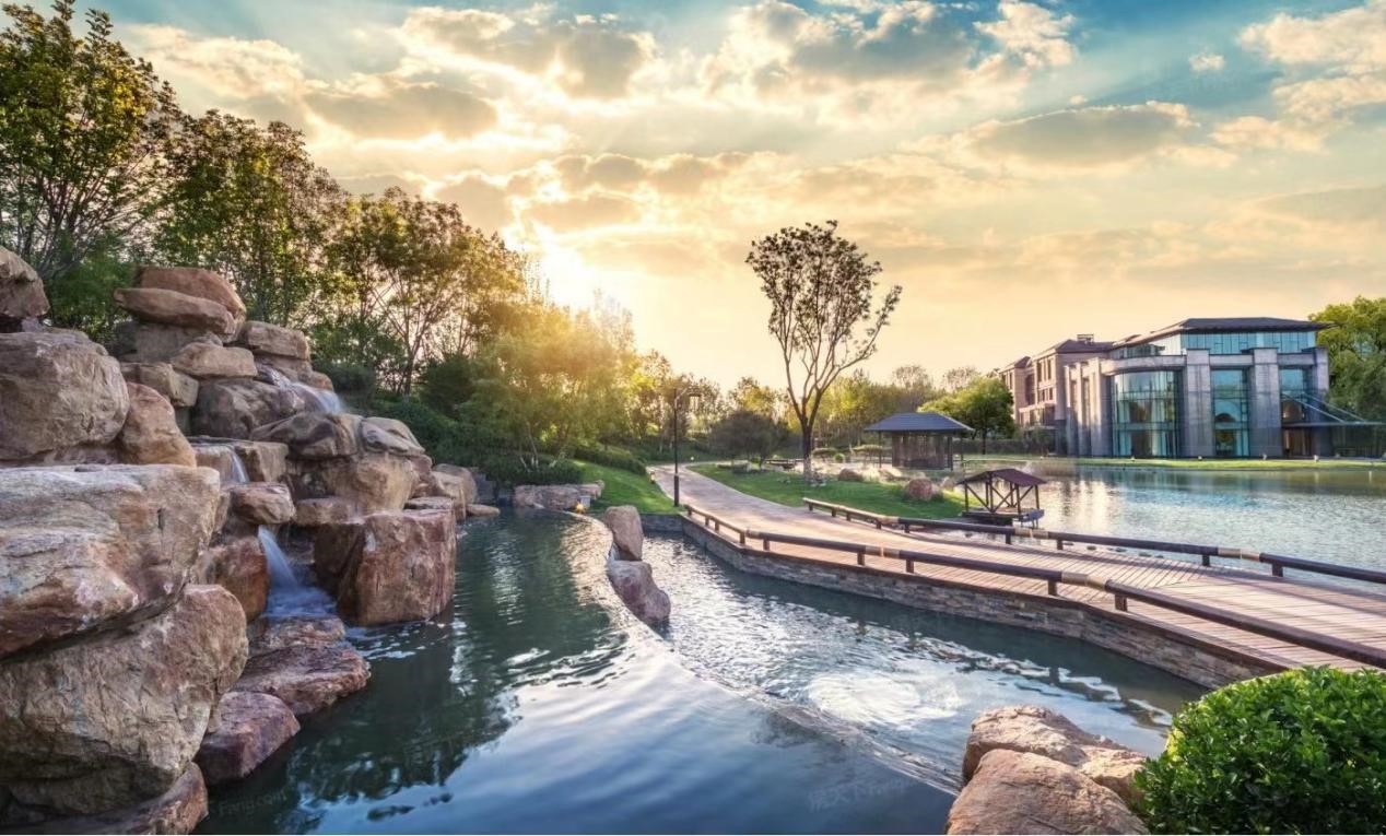 1692582914694029953.jpg 1692582914694029953.jpg