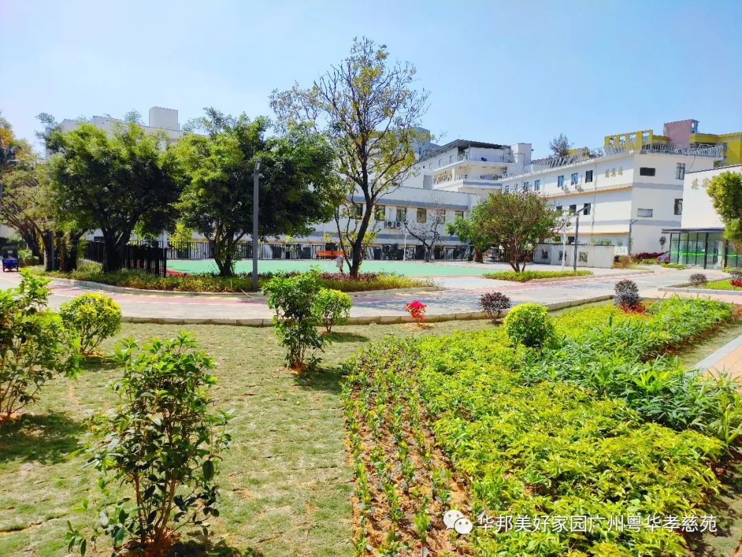 1693192207444032181.jpg 1693192207444032181.jpg