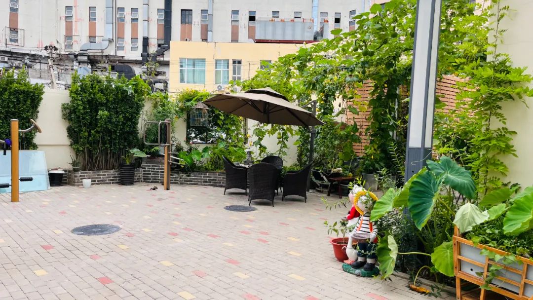 1694141228766081074.jpg 1694141228766081074.jpg