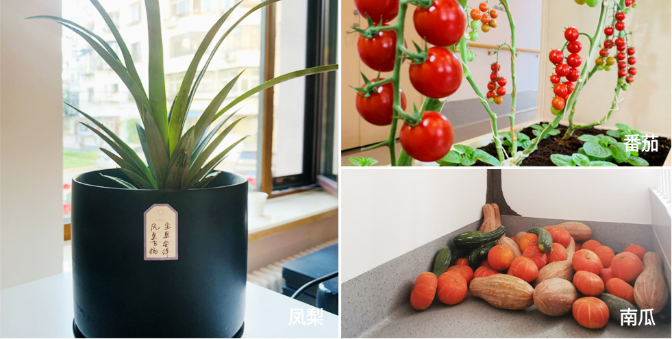 1694141245982070976.jpg 1694141245982070976.jpg