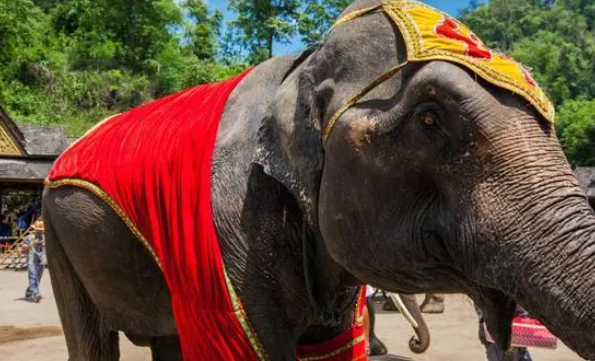 1694657196190001510.png 3.png