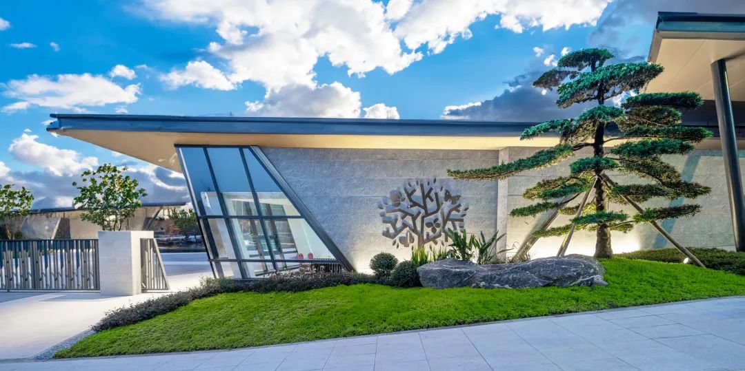 1695345613977008645.jpg 1695345613977008645.jpg