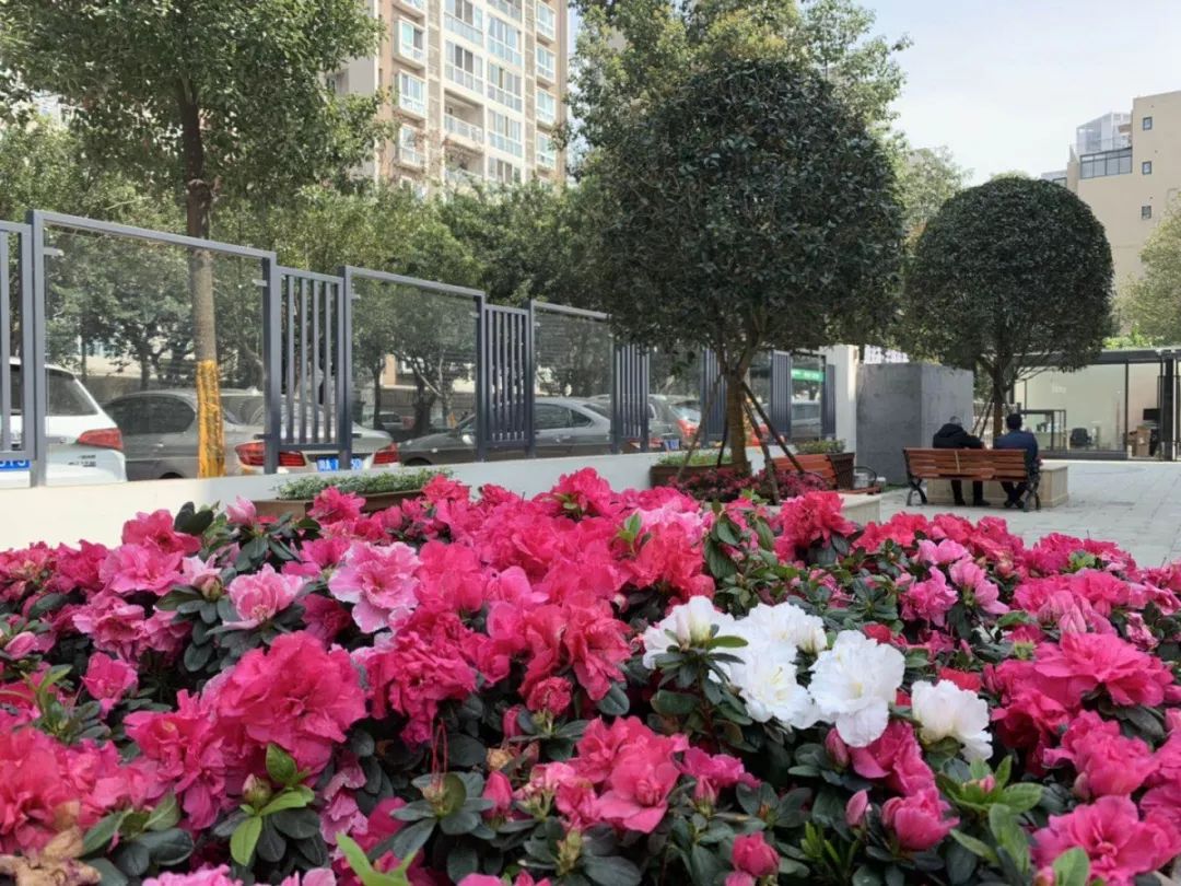 1697509846183002794.jpg 1697509846183002794.jpg