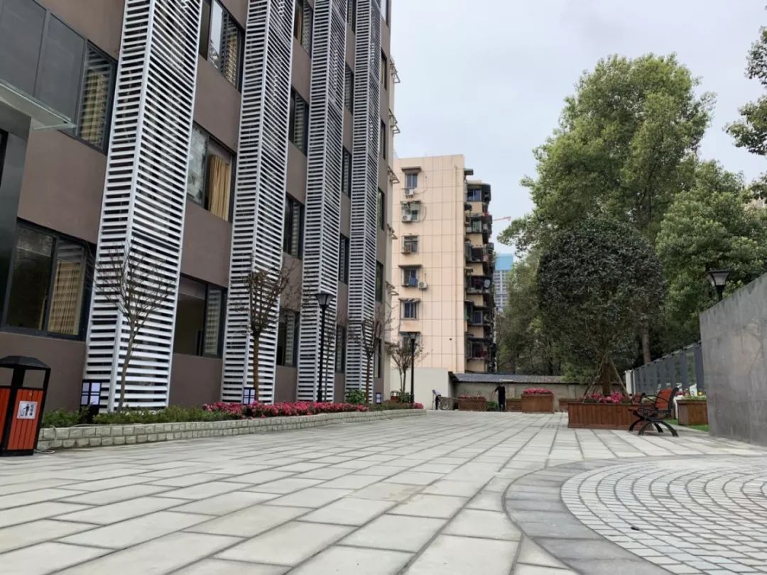 1697509876157037722.jpg 1697509876157037722.jpg