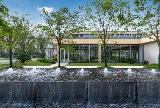 1700788415024016396.png 5.png