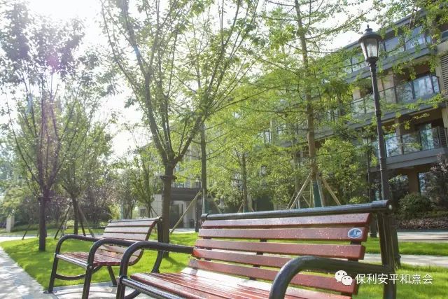 1701055432401002941.jpg 1701055432401002941.jpg