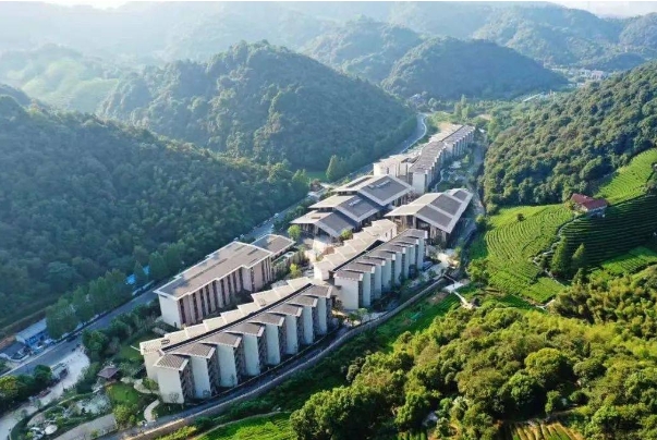 1701137154326038736.png 1.png