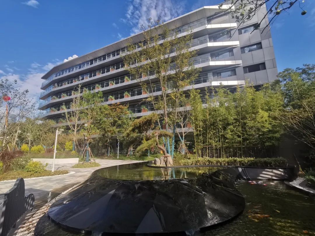 1701309407684018705.jpg 1701309407684018705.jpg