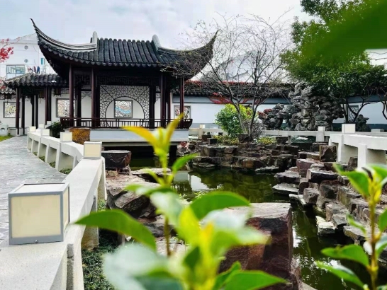 1702017492917058119.png 1.png