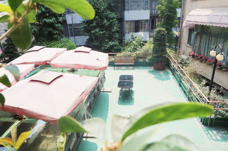 1704176211624002735.jpg 1704176211624002735.jpg