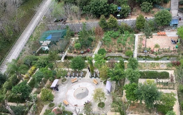 1706322595566042418.jpg 1706322595566042418.jpg