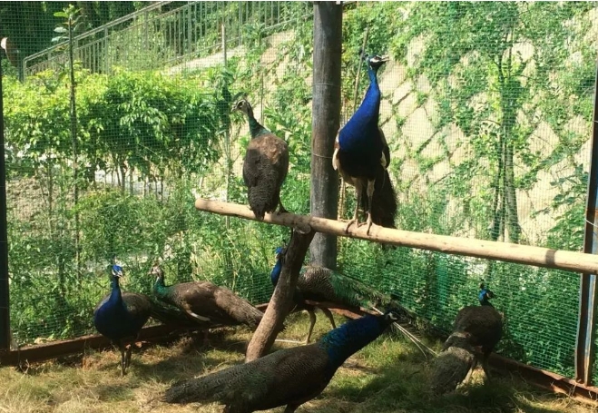 1706322623964007039.jpg 1706322623964007039.jpg