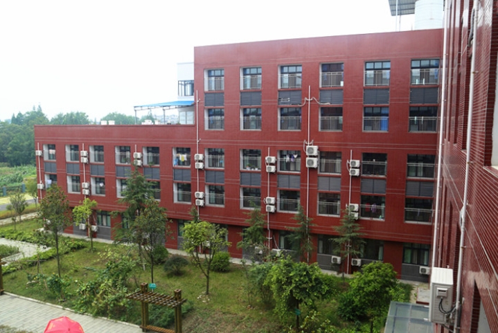 1706507990695006321.jpg 1706507990695006321.jpg