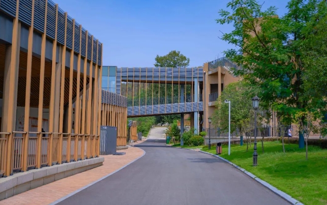 1715221542192090100.png 3.png