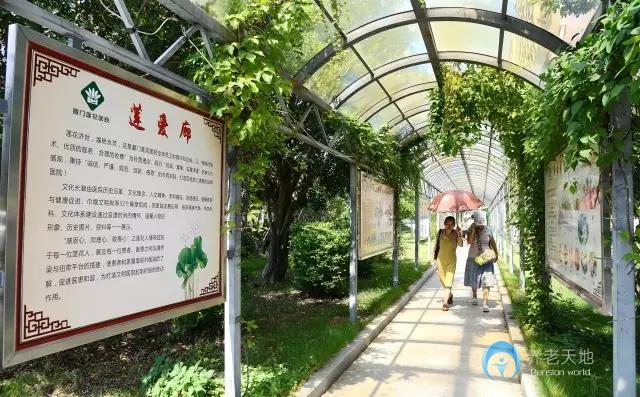 1716346748245057004.jpg 1716346748245057004.jpg