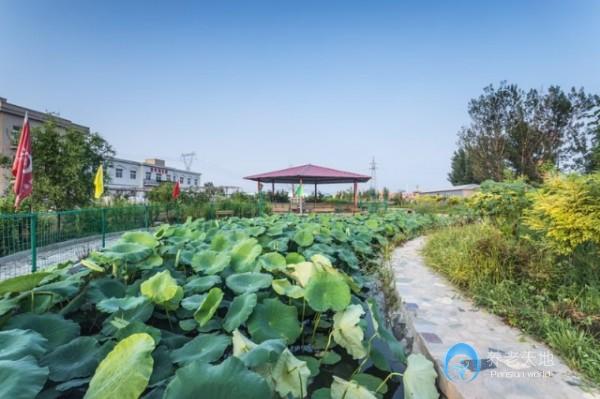 1717122874323019589.jpg 1717122874323019589.jpg