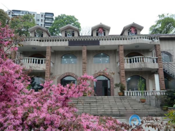 1717480212735089653.jpg 1717480212735089653.jpg